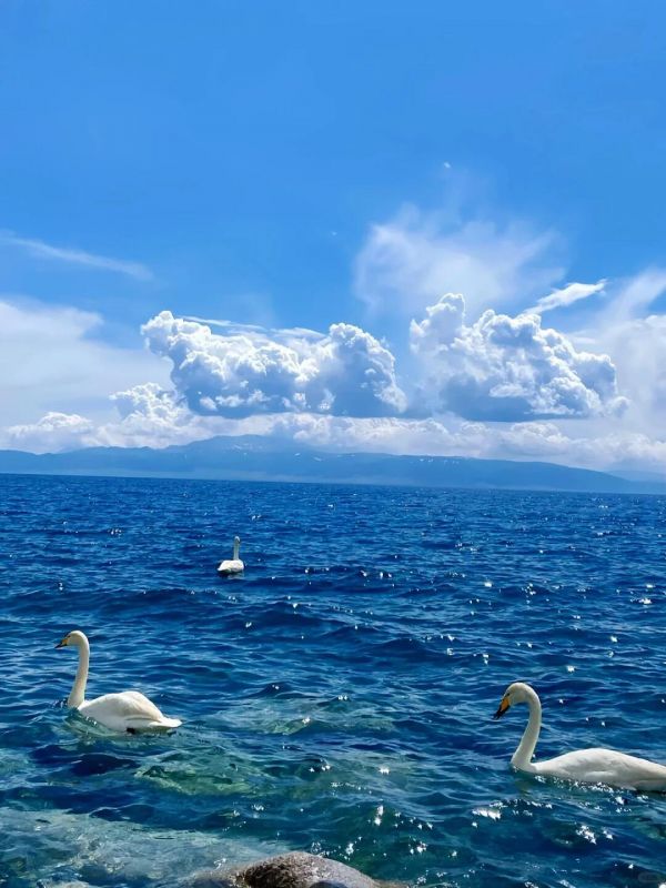 赛里木湖