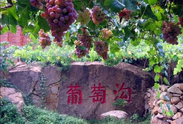 葡萄沟